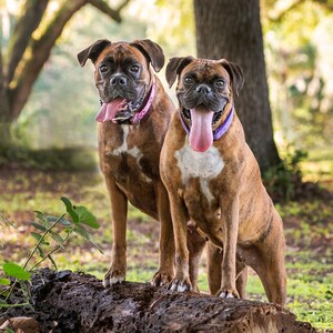 Fundraising Page: Kendra Packard